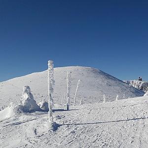 Śmielec