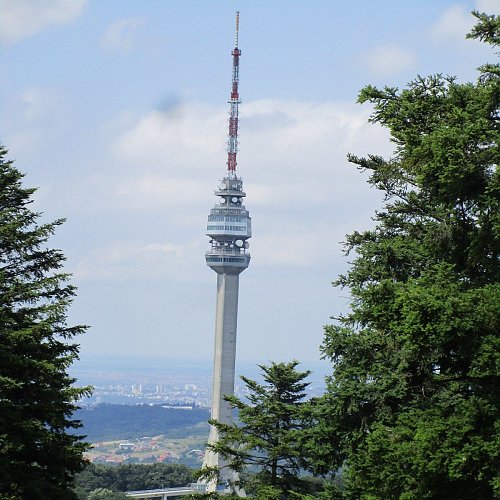 Avala