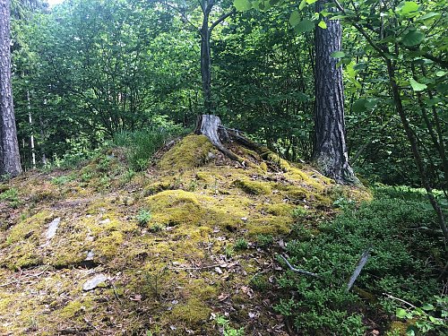 Nad Třešňovicemi - S vrchol, autor: Krtek