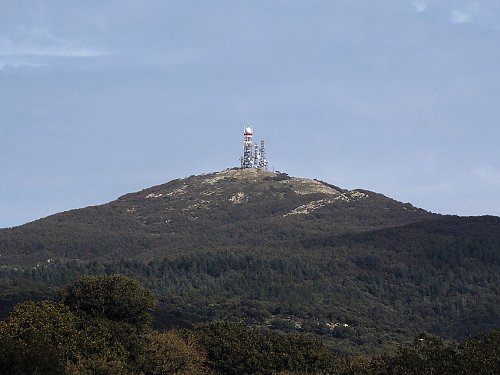 Monte Rasu, autor: Gianni Careddu, Wikimedia Commons