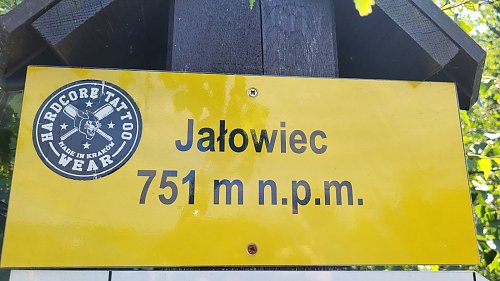 Jałowiec