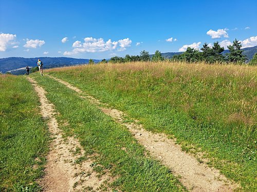 Hájnica