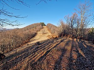 Janková - ZJZ vrchol