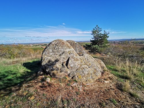 Staré vinice, autor: Jiří Králík 