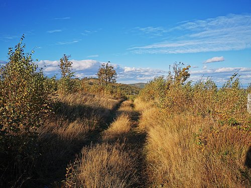 Dlouhá stráň, autor: Jiří Králík 