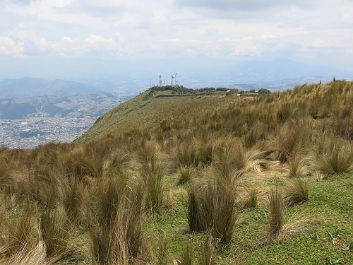 Rucu Pichincha - úbočí