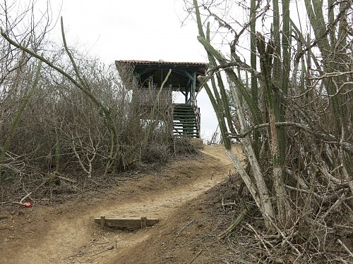 Mirador Las Fragatas