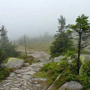 Špindlerovka - Sedlo pod Smělcem - Martinovka - Špindlerův Mlýn