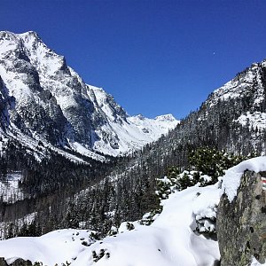 Zamskovského chata (1475 m)