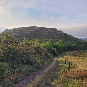 Mikulov