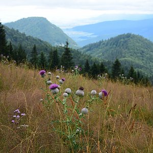 Velká Fatra 1