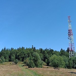 2024-08-04 09:41 -  Beskid Wyspowy (Kiczora Kamienicka a Wielki Wierch)