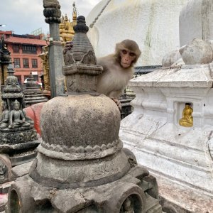 Swayambhu hill (1406 m)