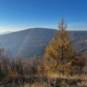 Morning Hike