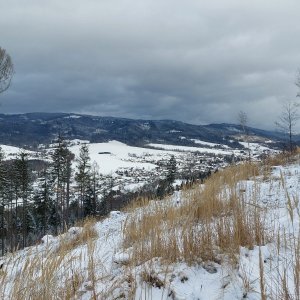 Zelená+Gurka+Vitališov