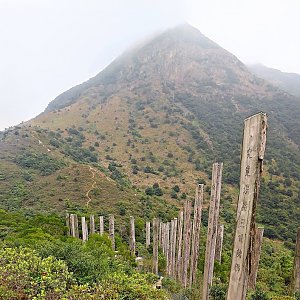 Lantau Peak