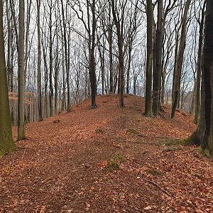 Pomáháme pohybem aneb Strava pro puštíka