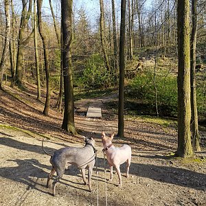 Starobělské Lurdy 3x a Majerovec (69)