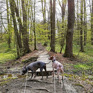 Starobělské Lurdy 4x a Majerovec (76)