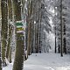 Martin Petřík na vrcholu Lysá hora (21.12.2021 12:03)