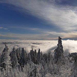 Fíkus na vrcholu Lysá hora (31.12.2020 14:00)