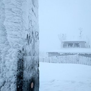 Alda na vrcholu Lysá hora (5.1.2019 12:59)