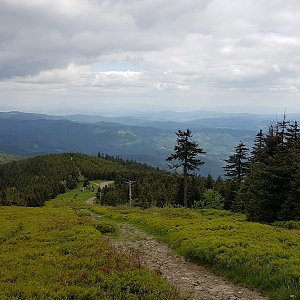 Jarda na vrcholu Lysá hora (13.6.2021 14:50)