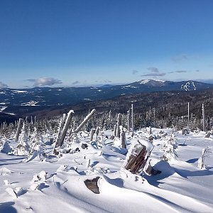 Kuba na vrcholu Polom - JV vrchol (12.2.2022 10:35)