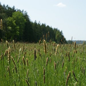 Holi na vrcholu U Školky (28.5.2023)