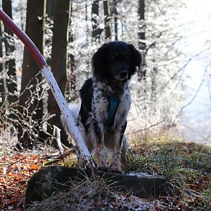 Čaky na vrcholu Kykulka (21.11.2020 12:15)