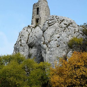 krupjan na vrcholu Sirotčí hrádek (28.10.2015 14:10)