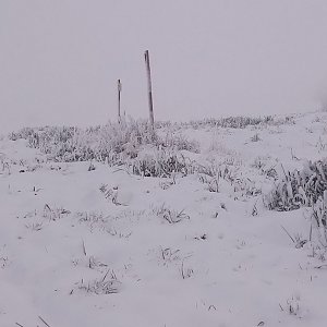 VěrkaN na vrcholu Na Hrobcích (18.12.2022 7:53)