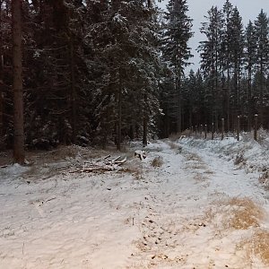 Cyklista 73 na vrcholu Hamerský kopec (4.12.2022 7:06)