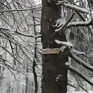 Jiří Tomaštík na vrcholu Lipí (26.1.2022 11:39)