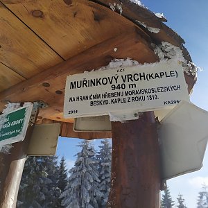 Laina666 na vrcholu Muřinkový vrch (21.1.2020 13:59)