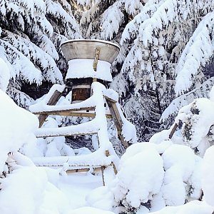 Dobros na vrcholu Okrúhlý (11.2.2018 10:30)