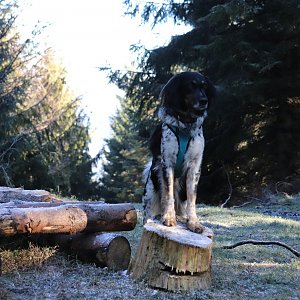 Čaky na vrcholu Muroňka (21.11.2020 12:38)