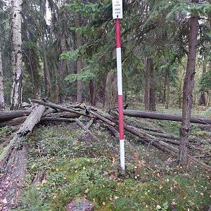 Nojby na vrcholu Na Oldřiši (8.10.2021 10:25)