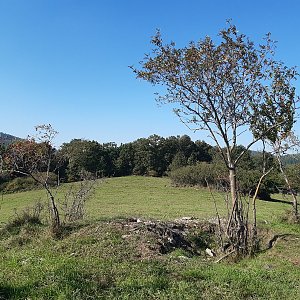 ZdenkaV na vrcholu Kozí vrch - J vrchol (9.10.2021 12:05)