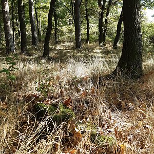 ZdenkaV na vrcholu Andělská hora - Z vrchol (9.10.2021 12:25)