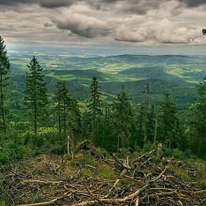 kaltz na vrcholu Bobík (28.5.2021 15:26)