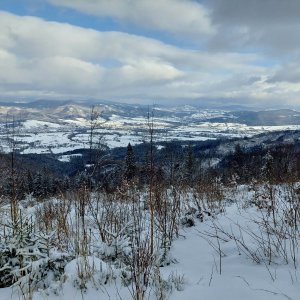 Ila na vrcholu Kozubová S vrchol (3.1.2025)