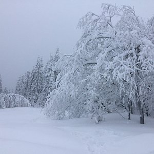 Radim na vrcholu Ropice (5.1.2019)