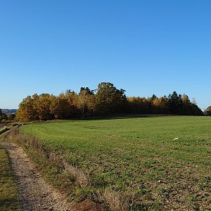 Nojby na vrcholu Otínský vrch (22.10.2021 15:51)