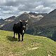 Alexandr Starý na vrcholu Wildspitze (17.9.2023 10:50)