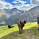 Alexandr Starý na vrcholu Wildspitze (17.9.2023 10:50)