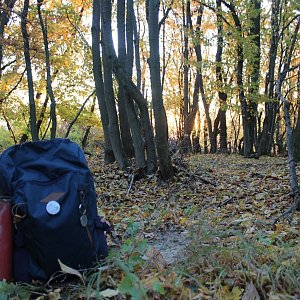 Jiřina na vrcholu Dubový vrch (30.10.2021 17:20)