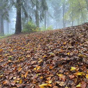 Martin Matějka na vrcholu Kykula (13.10.2024 15:40)