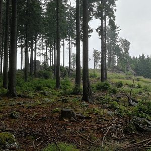 VěrkaN na vrcholu Bärenstein (5.7.2022 11:48)