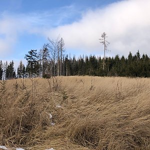 Krtek na vrcholu Na Rejdích (27.1.2022 18:25)